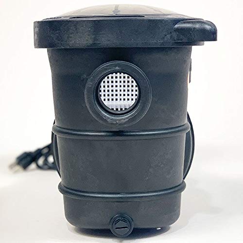 Doheny's 1.5 HP Above Ground Swimming Pool Pump | 115V, 83 GPM (1.2 THP) | Stainless Steel Shaft, Reinforced Thermoplastic, Low-Noise, High-Efficiency | 1.5" Internal & 2.5" External Threading
